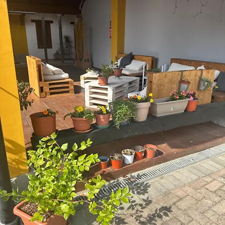 La Casa Dei Fiori 招待所 圣莫里吉奥卡瓦纳斯