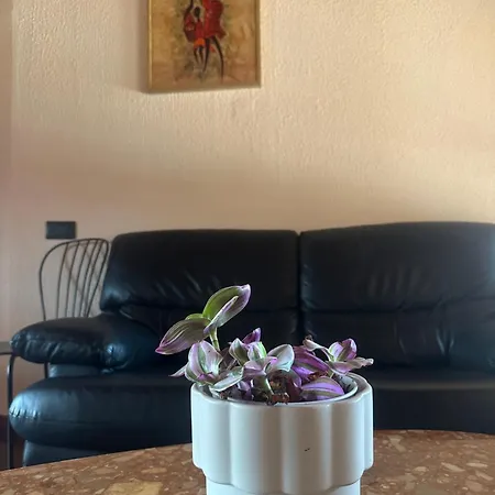 La Casa Dei Fiori 招待所 3*