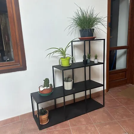 La Casa Dei Fiori 招待所